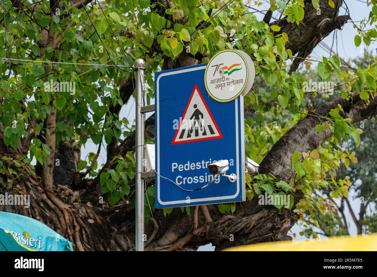 Panneau de passage piéton à Old Delhi, Inde Banque D'Images