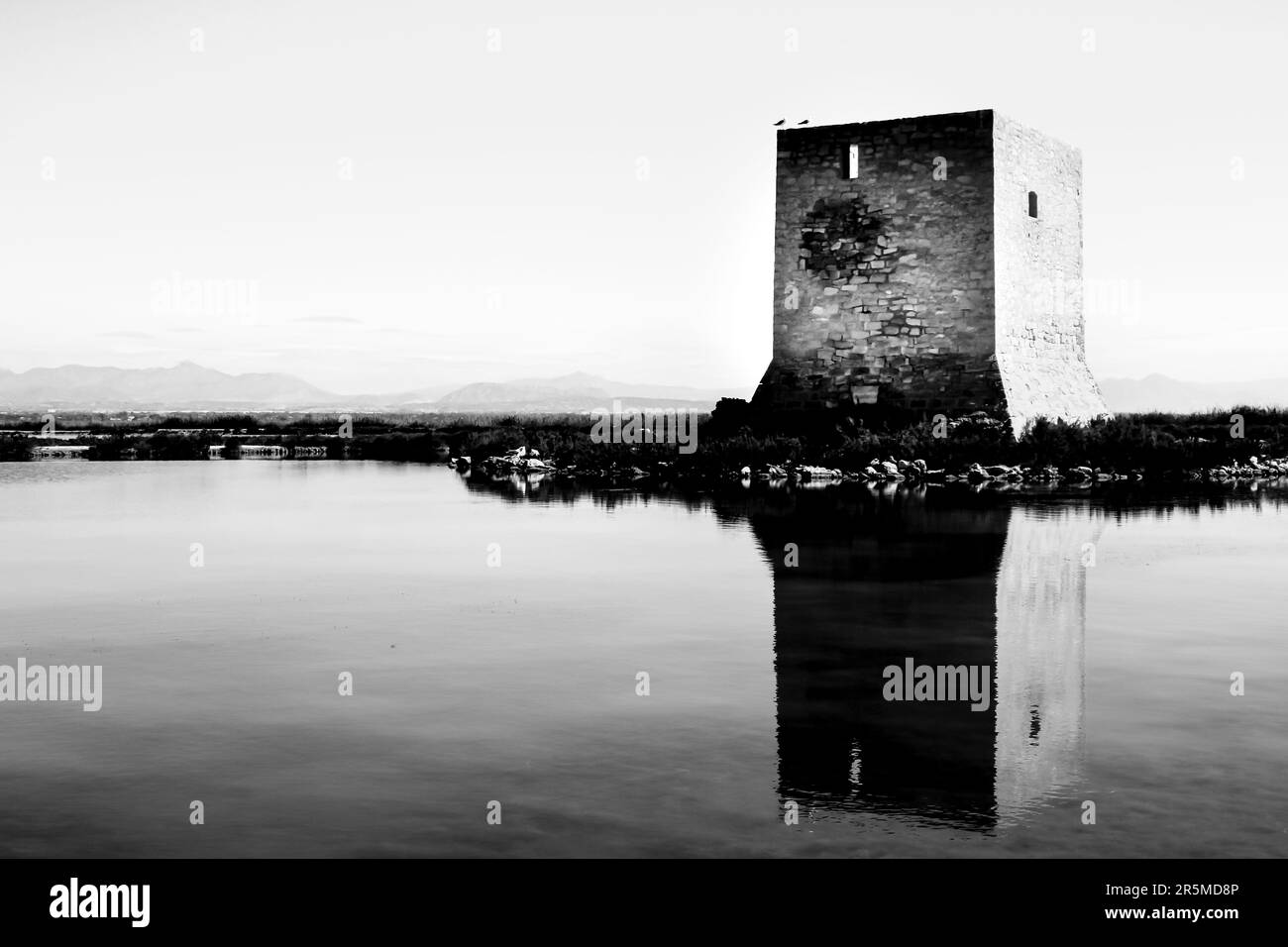 Belle tour de Tamarit entourée de lagons de sel à Santa Pola, Alicante, Espagne Banque D'Images