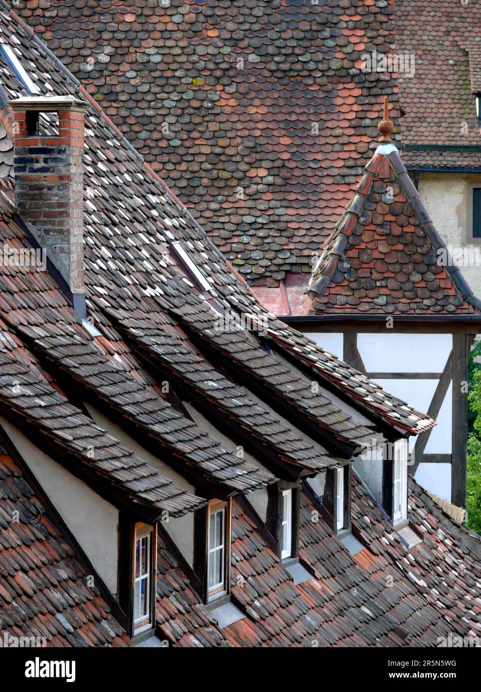 Toit avec dormeurs, Monastère de Maulbronn, Bade-Wurtemberg, Allemagne Banque D'Images