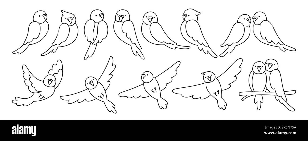 Ensemble linéaire de contour tropical Parrot. Collection d'oiseaux exotiques sauvages d'été assis ou volantes. Faune jungle hawaïenne perroquets adorables personnages de parakeet joli dessin à la main illustration vectorielle isolée Illustration de Vecteur