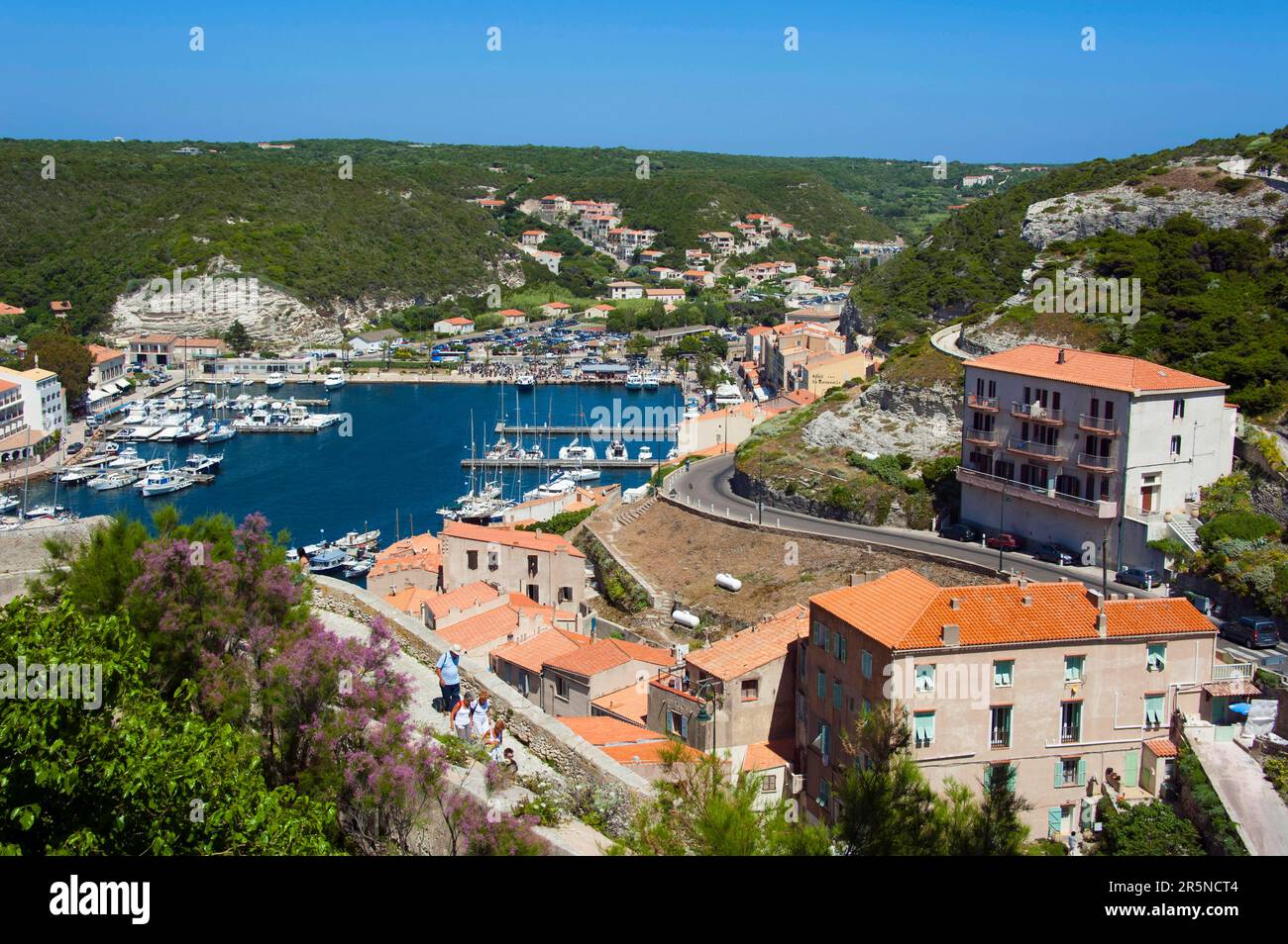 Bonifacio, Corse, France, Basse-ville Banque D'Images