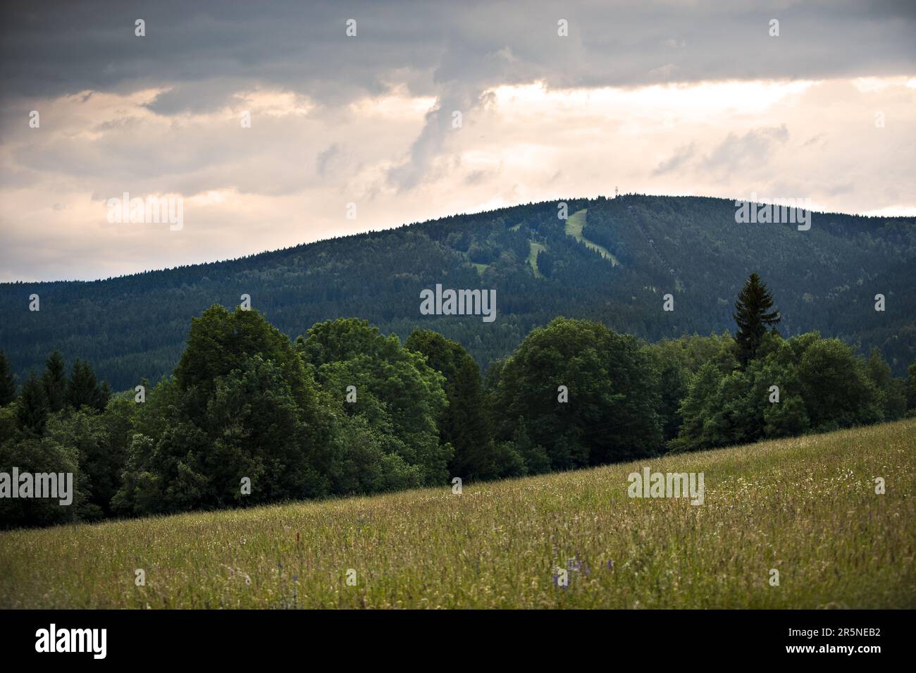 Montagnes de l'Aigle, Bohême, Orlicke Hory, République tchèque Banque D'Images