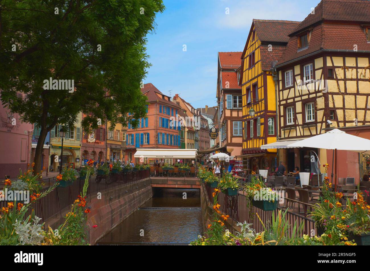 colmar sneakers travis