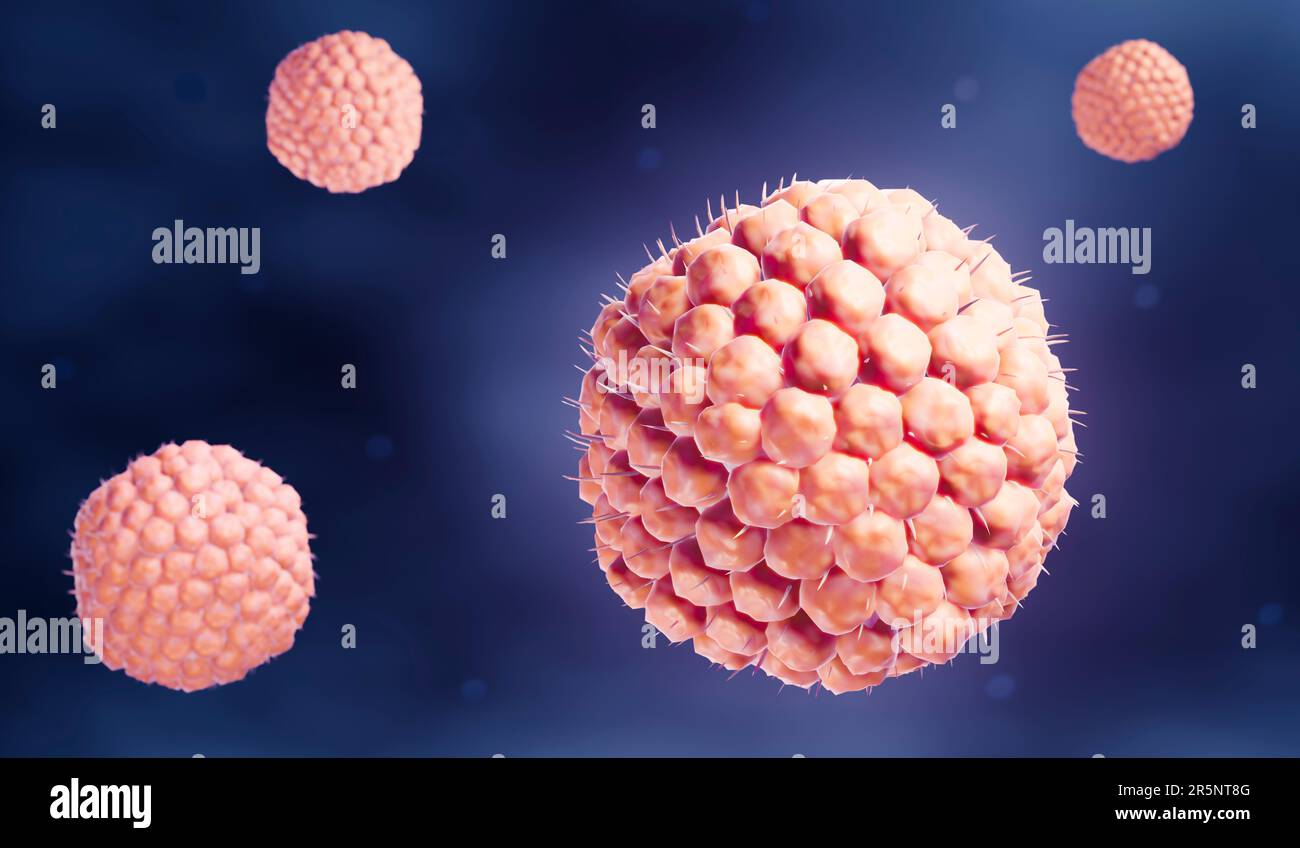 Particules du virus de la varicelle, illustration Banque D'Images