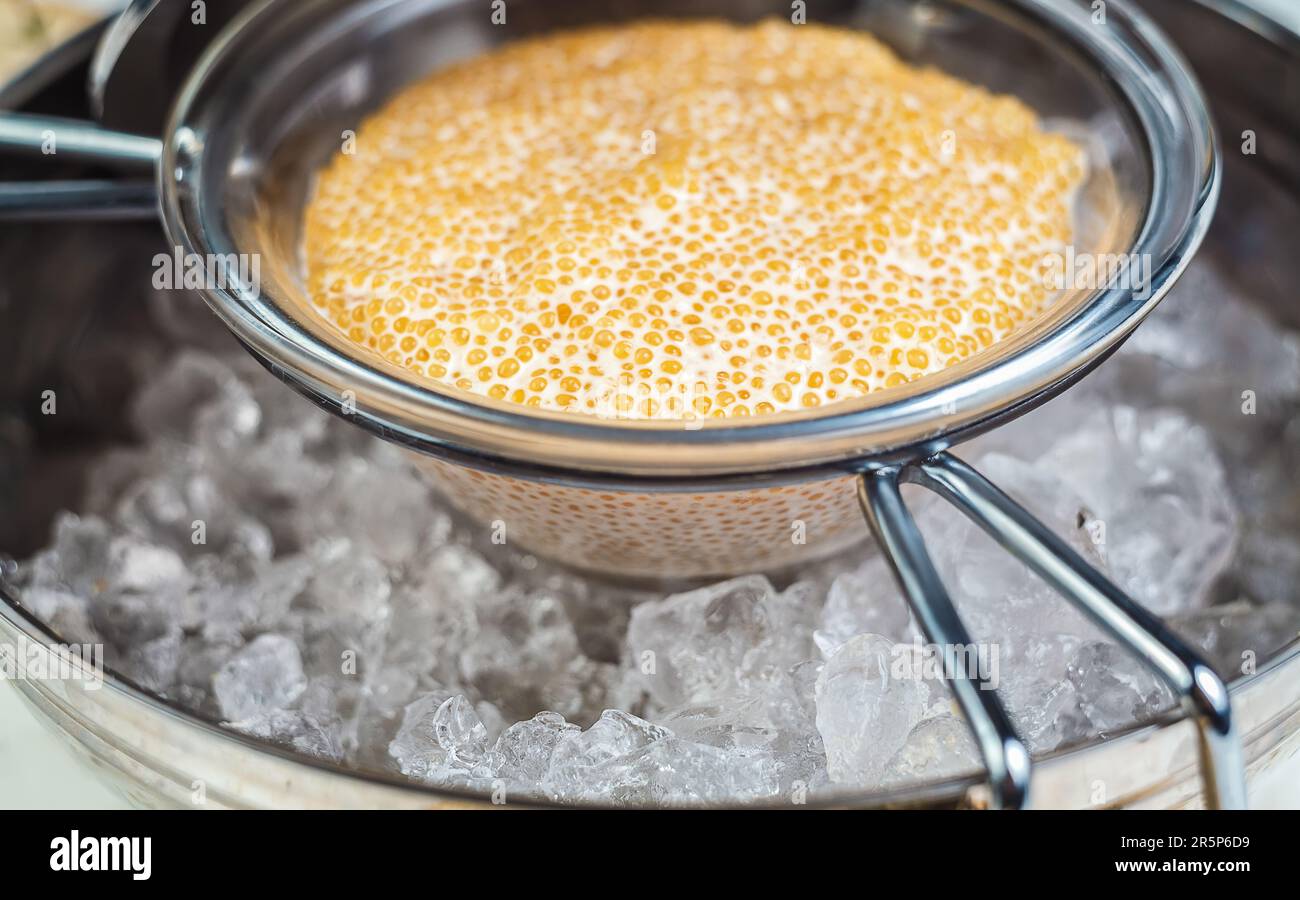 Une assiette de fruits de mer frais et sains, y compris le caviar rouge et la roe glacée, prêts à être dévorés pour le petit-déjeuner. Banque D'Images