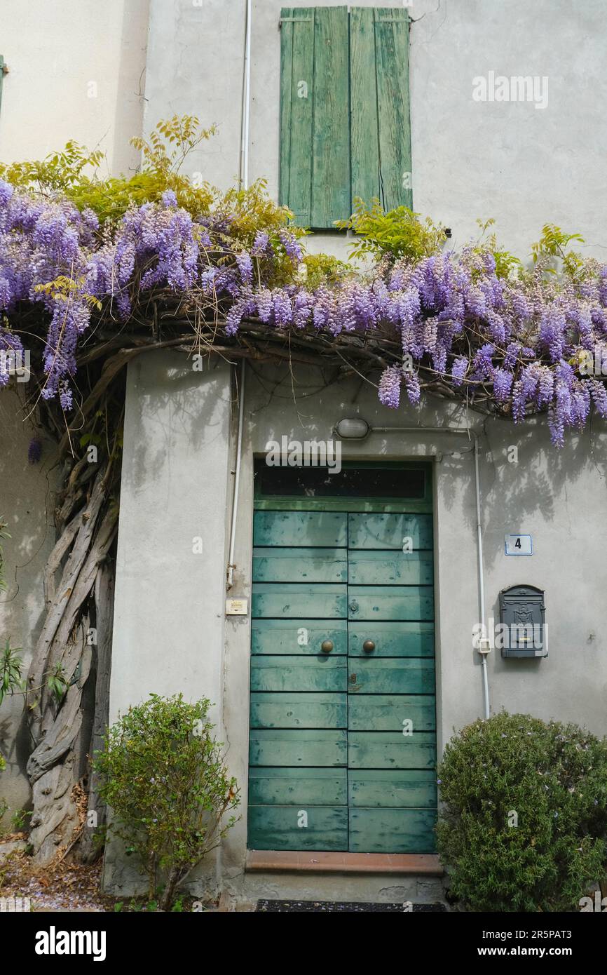 ancienne maison avec portes en bois vert et volets sur les fenêtres. La glycine fleurit sur la façade du bâtiment. Province européenne Banque D'Images