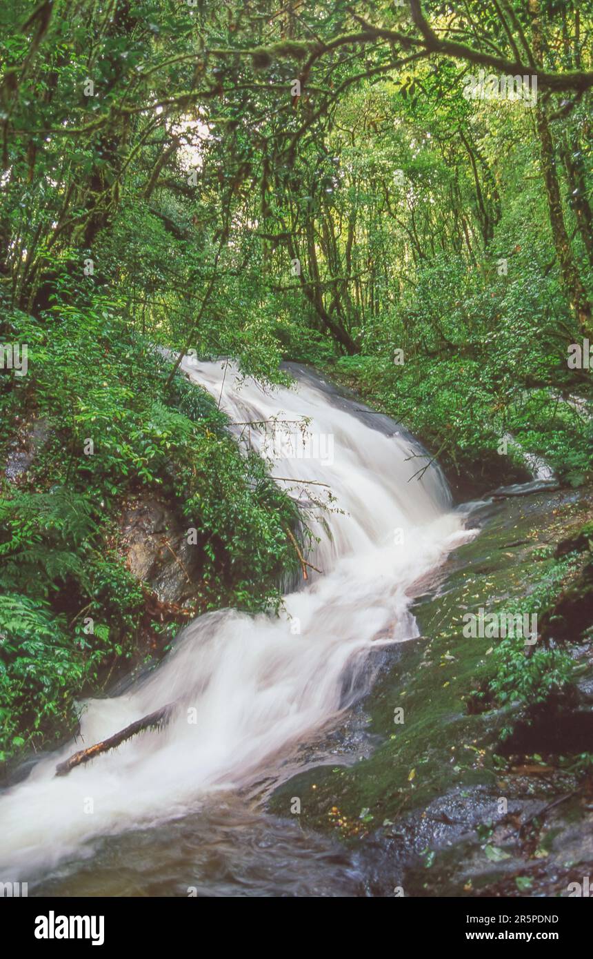 Une cascade dans le parc national de Doi Inthanon, dans la province de Chiang Mai, dans le nord de la Thaïlande. Banque D'Images