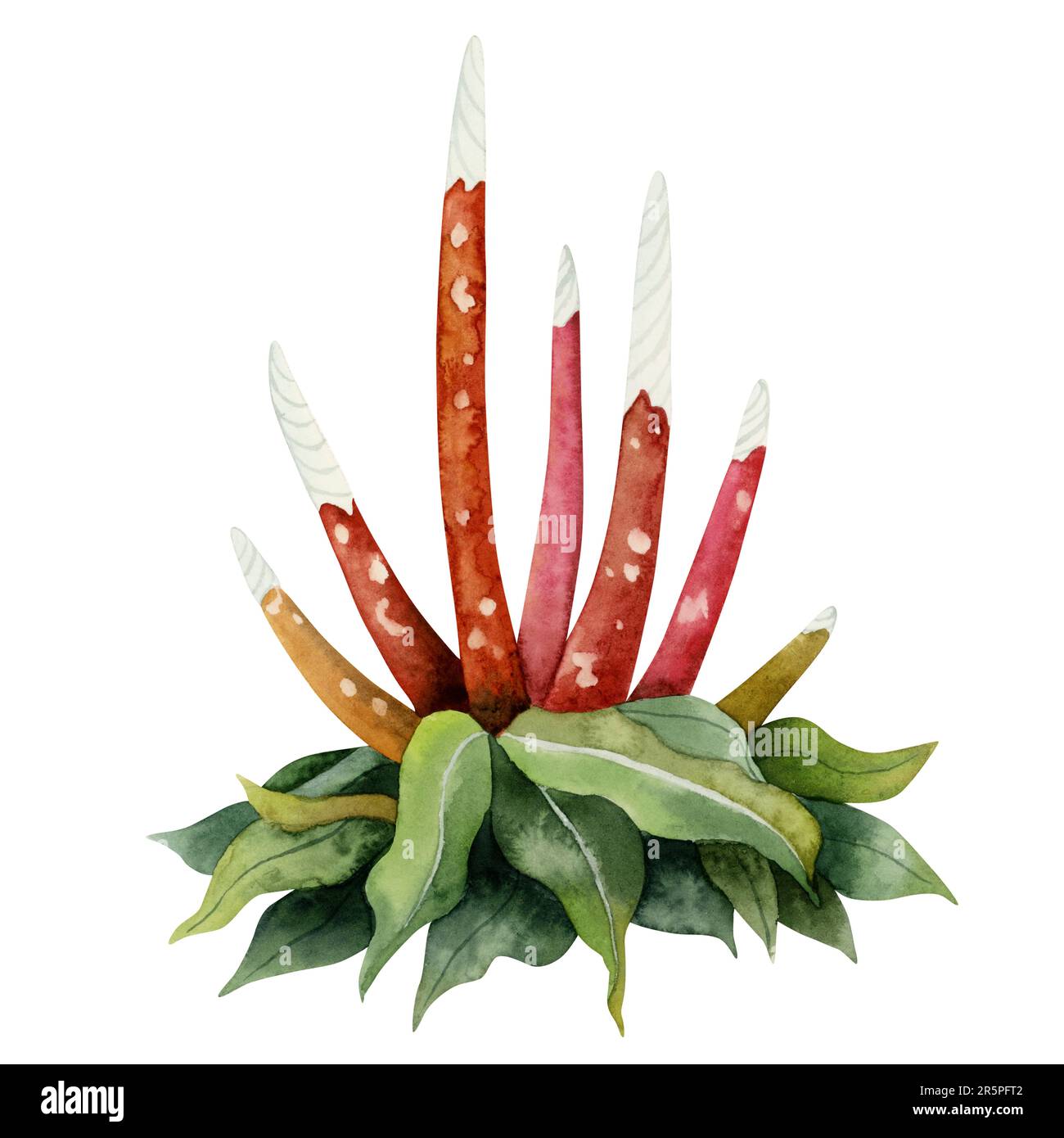 Aquarelle fantaisie Bush avec de longues tiges à pois rouges ou illustration de fleurs. Flore fictive colorée, plante inexistante Banque D'Images