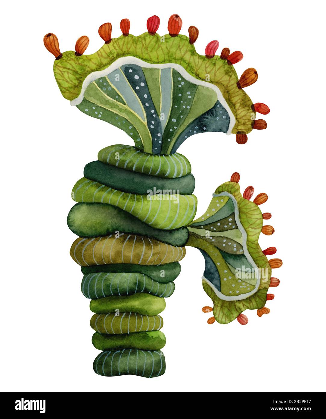 Plante de cactus fantaisie aquarelle avec illustration de fruits dans des couleurs vertes. Invitations et cartes de fête style mexicain Banque D'Images