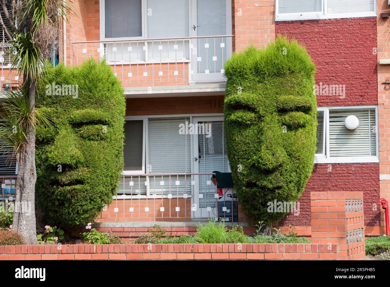 Topiary arbres hors d'un bloc d'appartements dans la région de Hawthorn, Melbourne, Victoria, Australie. Banque D'Images