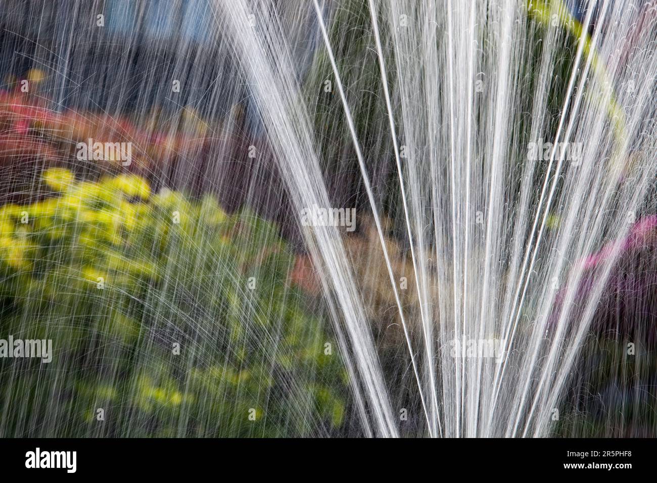 Un jardin fontaine dans Holehird Gardens, Windermere, Cumbria, Royaume-Uni. Banque D'Images