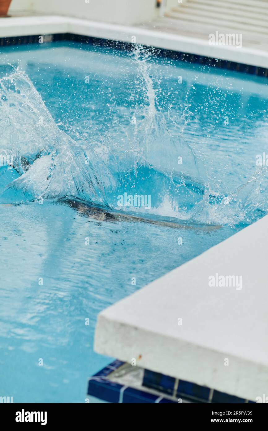 Des éclaboussures dans la piscine publique à l'extérieur, l'ombre d'une personne plongée dans l'eau bleue dans un complexe de luxe à Miami, la liberté, ludique, insouciante, vib de vacances Banque D'Images