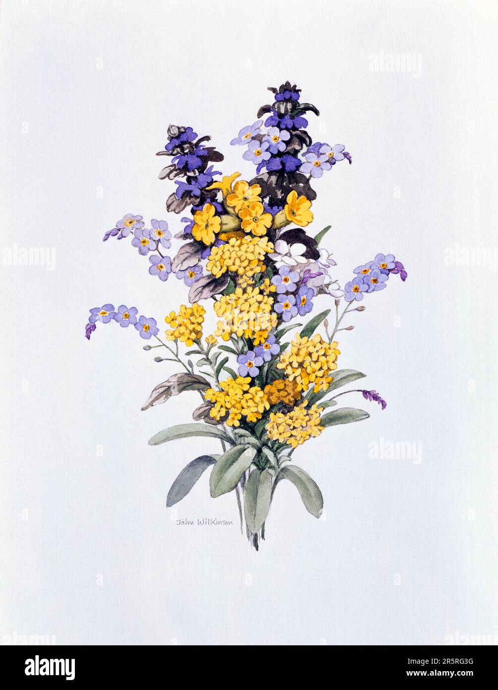 Œuvres d'art. Peinture aquarelle de fleurs jaunes et bleues. Banque D'Images