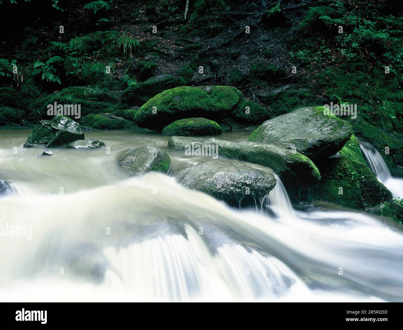 Angleterre. Cumbria. Ambleside. Flux à écoulement rapide de la force Ghyll du stock. Banque D'Images