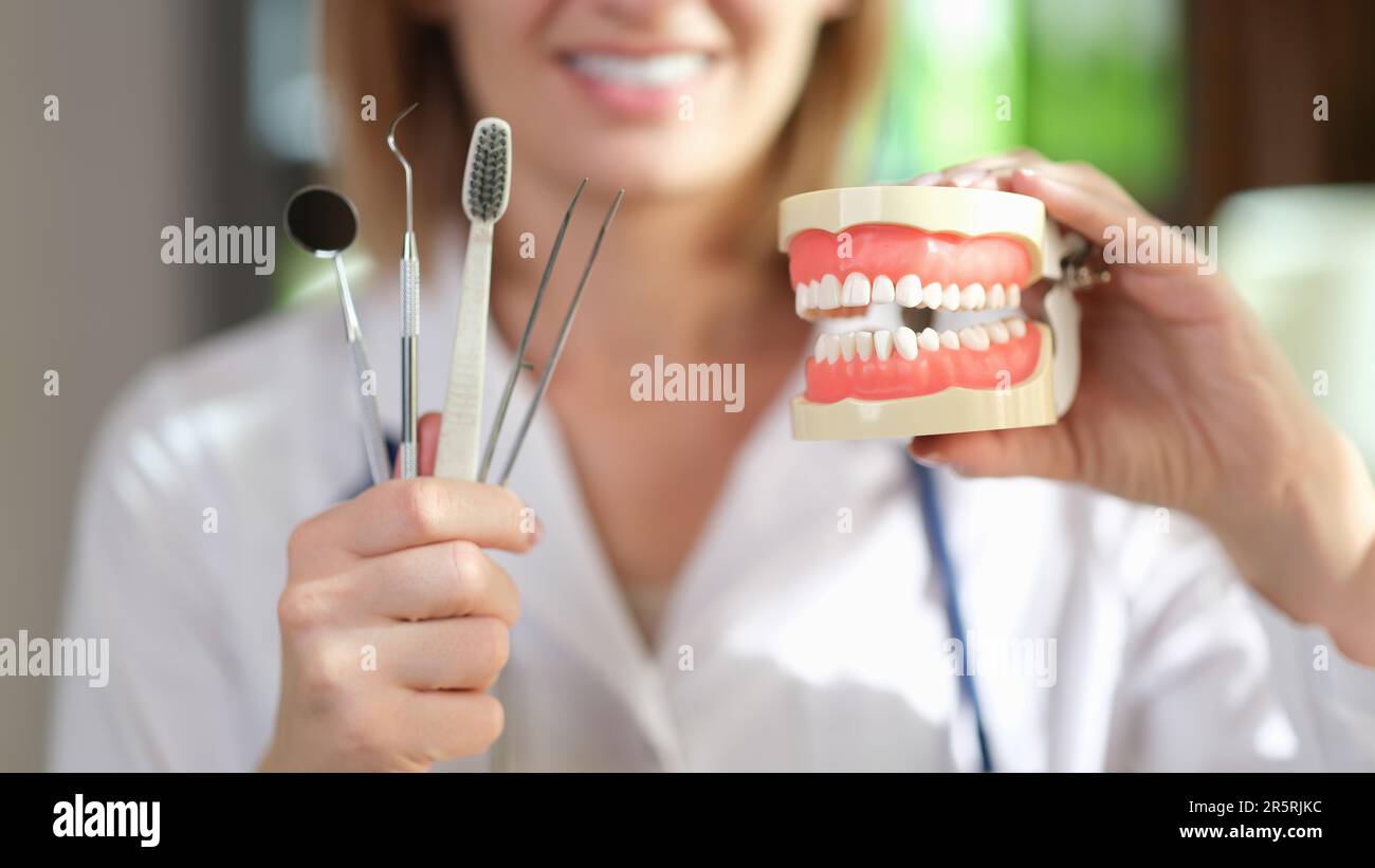 Le dentiste montre le modèle de mâchoires et les outils de soins dentaires à l'hôpital Banque D'Images