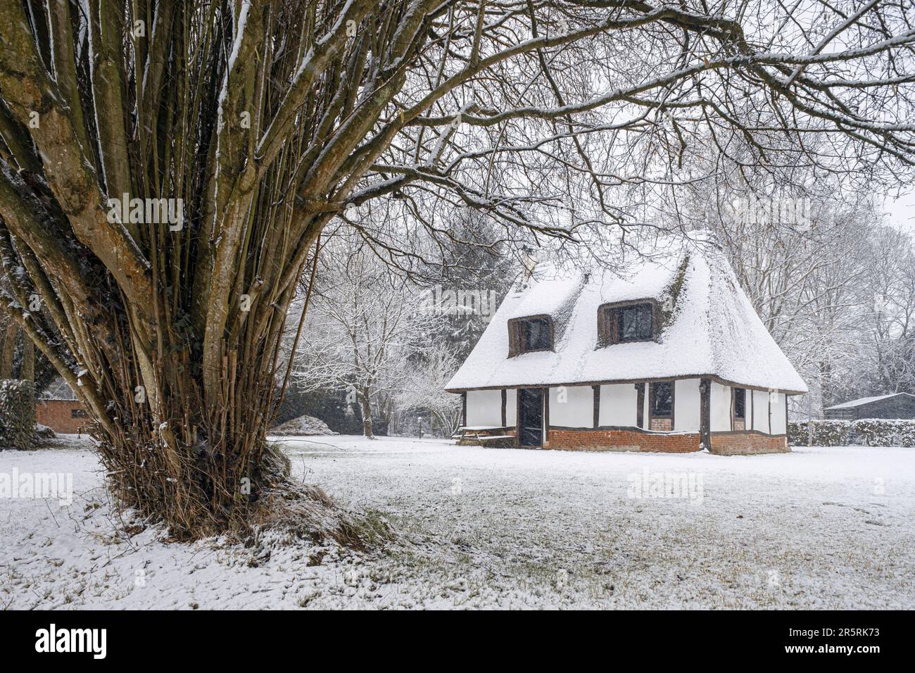 France, Eure, Trouville-la-Haule, petit village près de Pont-Audemer, maison normande à colombages et toit de chaume, sous une tempête de neige Banque D'Images