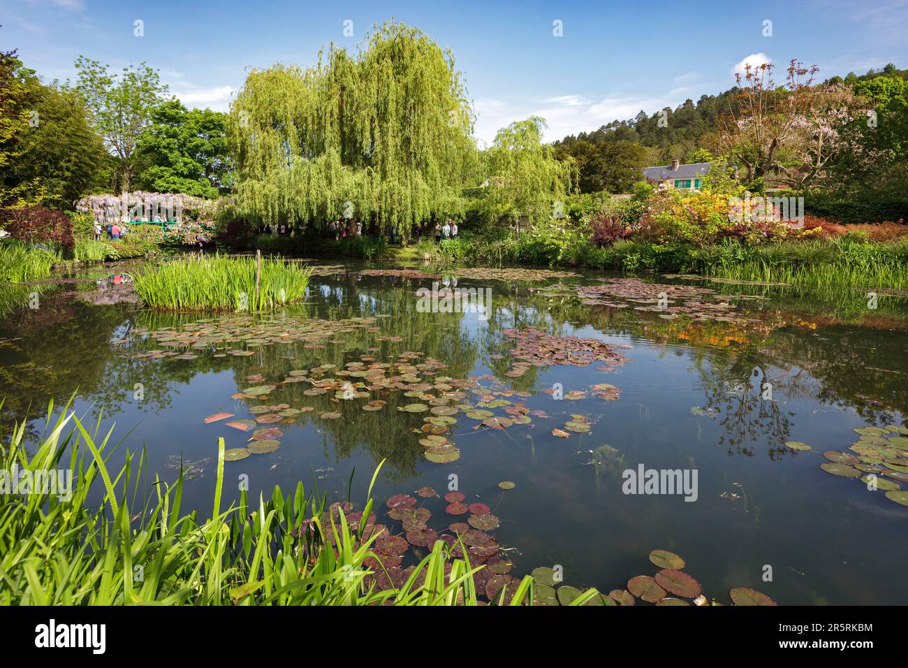 France, Eure, Giverny, Fondation Claude Monet, maison du peintre, étang, pont et jardin japonais fleuri Banque D'Images
