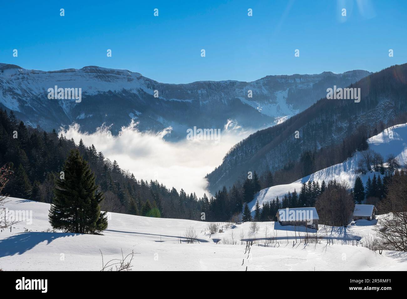 France, Jura, massif du Jura, la Pesse, ski de randonnée nordique au Crêt du Merle , vue du borne au Lion vers la vallée de la Valserine sous la brume et le sommet du Reculet Banque D'Images