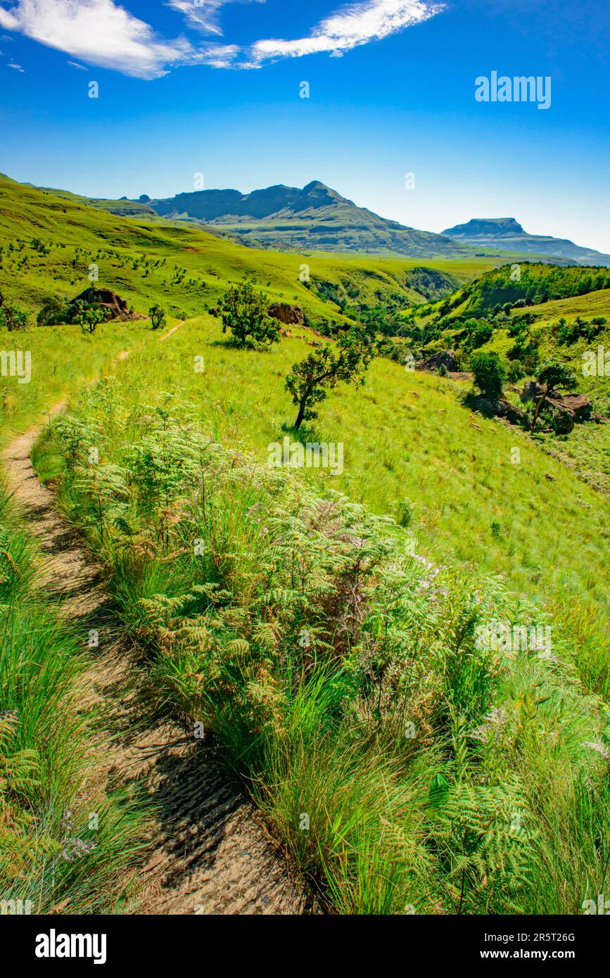 Afrique du Sud, Kwazulu Natal, parc uKhahlamba Drakensberg, site classé au patrimoine mondial de l'UNESCO, parc national Royal Natal Banque D'Images