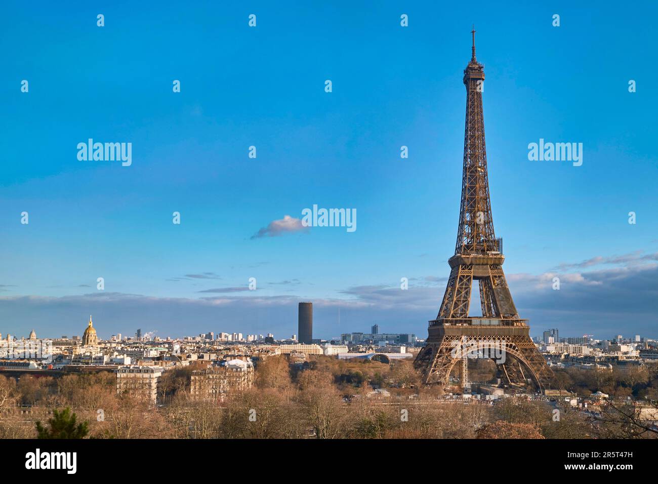 France, Paris, Trocadéro, la Tour Eiffel du Palais de Chaillot Banque D'Images