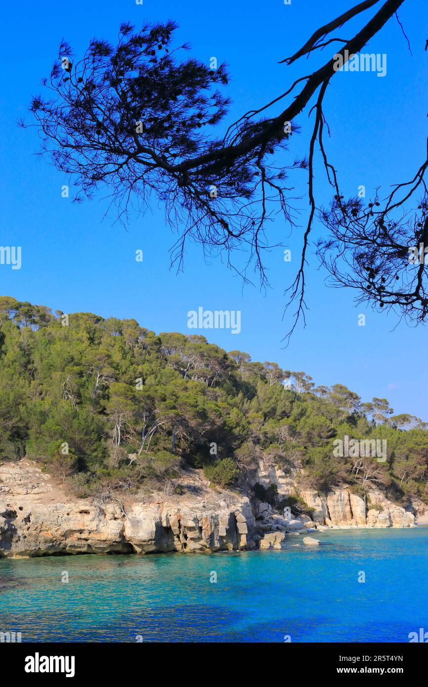 Espagne, Iles Baléares, Minorque, Ferreries, côte entre la plage de Mitjaneta (à gauche) et la plage de Mitjana (à droite) Banque D'Images