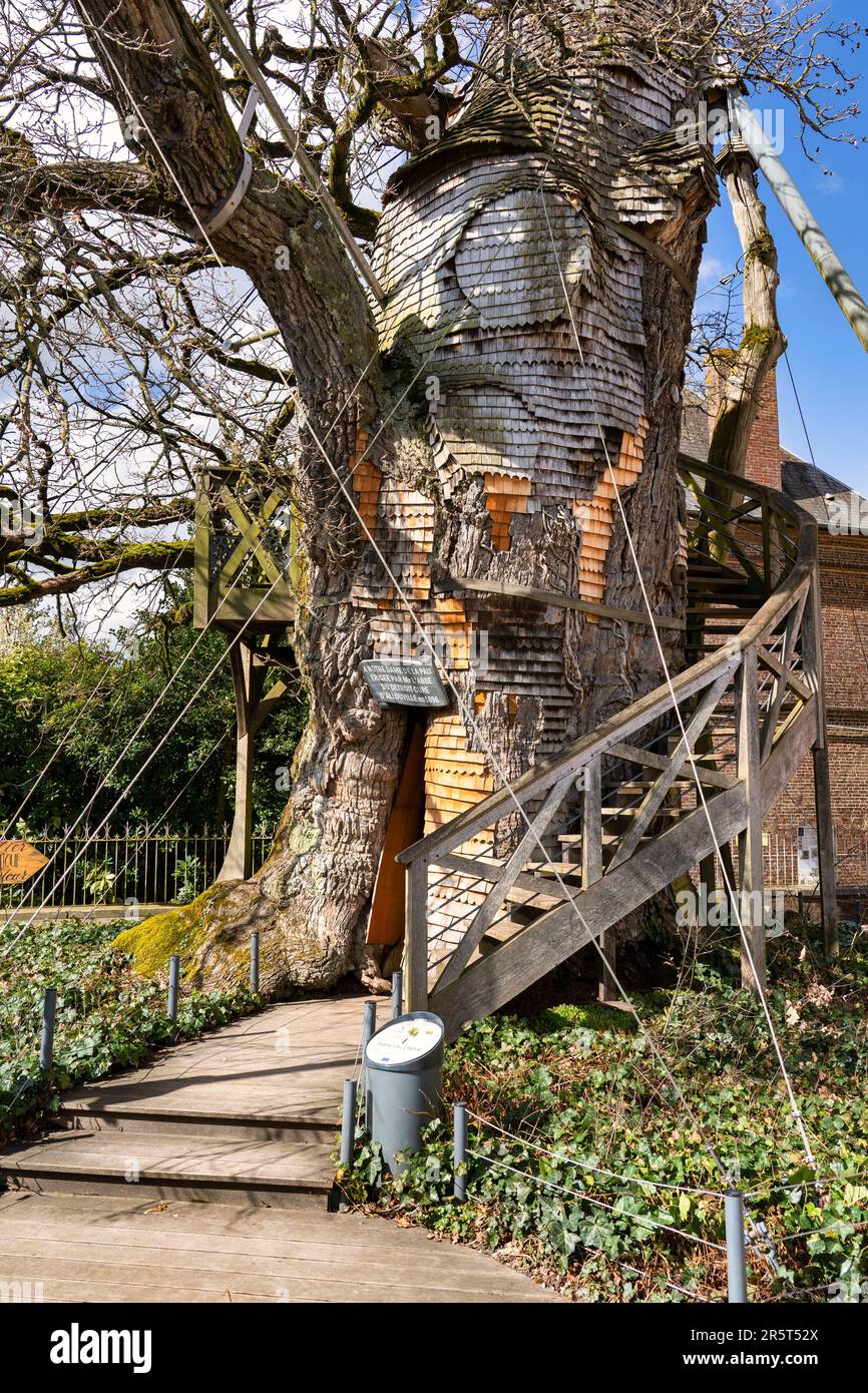 France, haute Normandie, Seine Maritime, Allouville Bellefosse, le plus