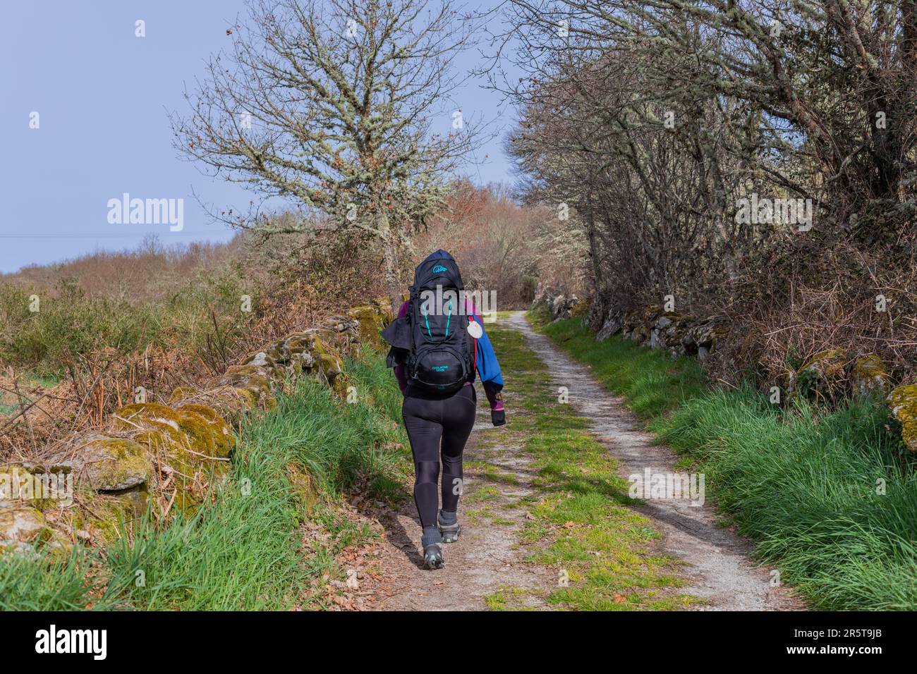 Navarre, Espagne, 04 décembre, 2022: Promenade en pèlerinage le long du Camino de Santiago, le chemin de Saint Route de pèlerinage de James, Navarre, Espagne. Banque D'Images