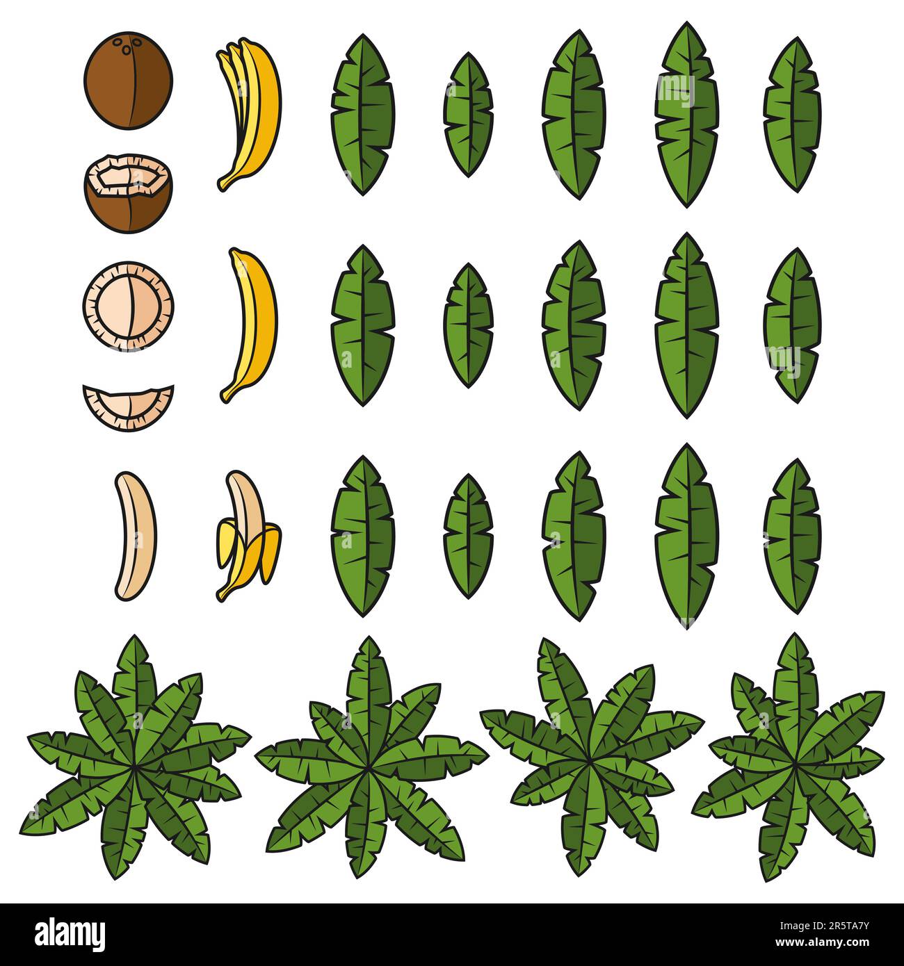 Jeu de couleurs avec palmier tropical, feuilles, noix de coco et banane. Objet vectoriel isolé sur fond blanc. Illustration de Vecteur