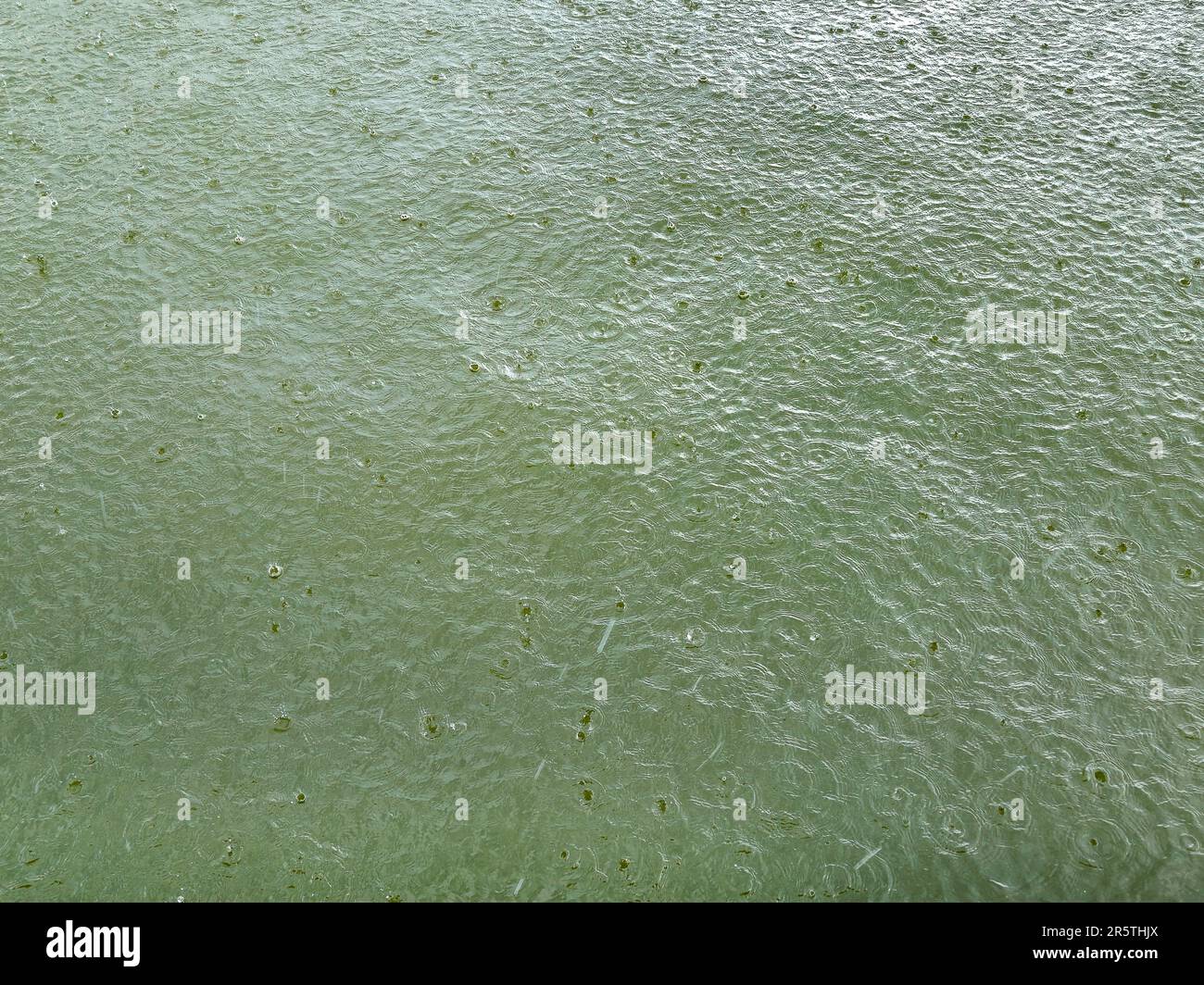 Eau de lac verte avec motif de raindrop Banque D'Images