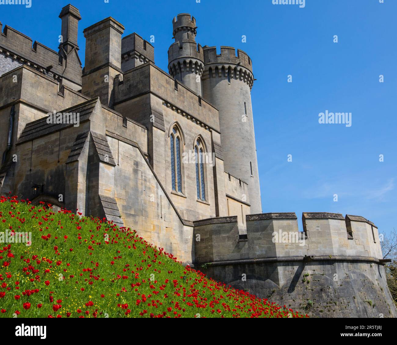 Sussex, Royaume-Uni - 29 avril 2023 : de magnifiques tulipes au château historique d'Arundel à Arundel, dans l'ouest du Sussex. Banque D'Images