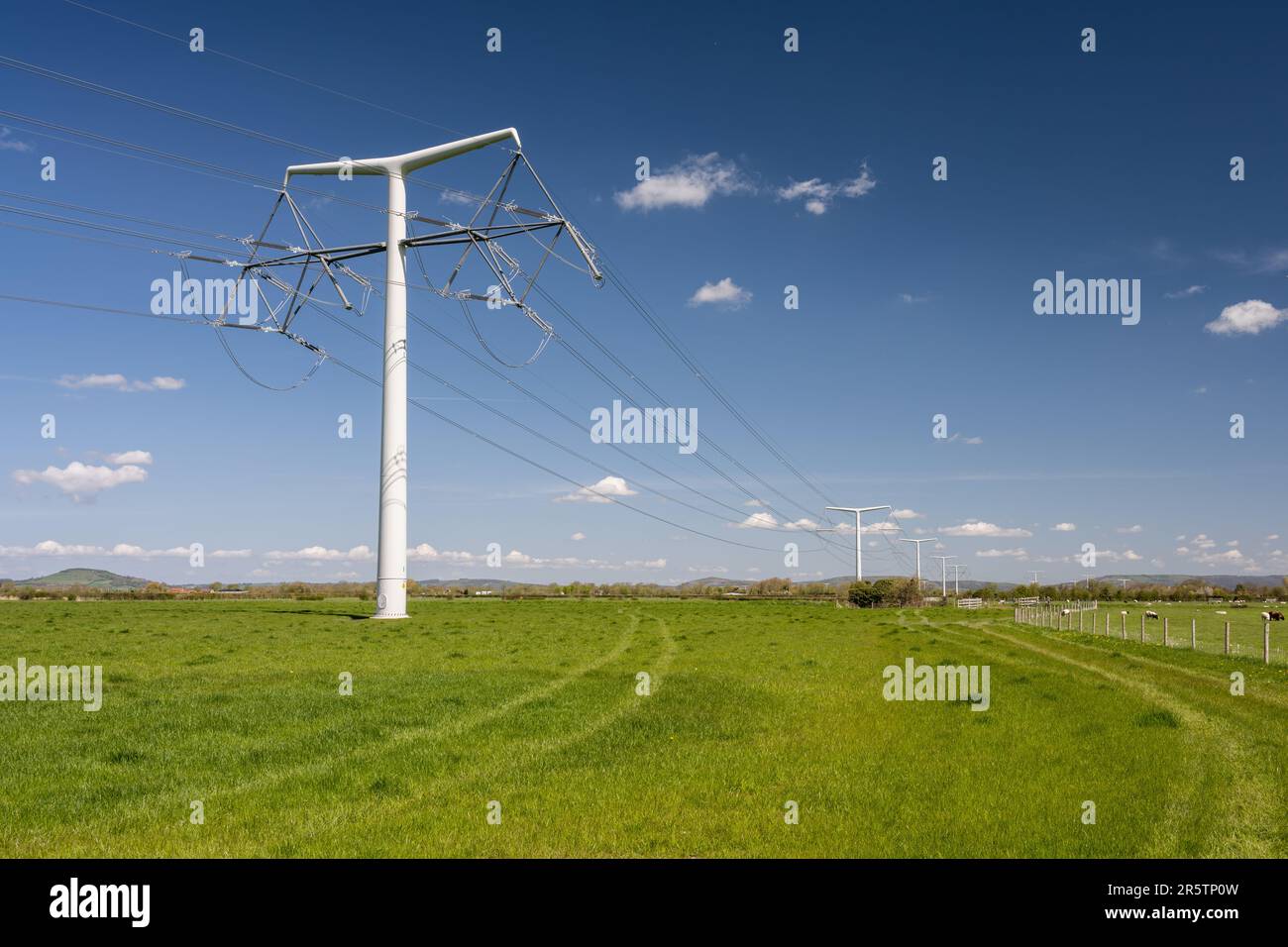 Nouveau design « T pylons », dans le cadre du projet de connexion à Hinkley point C de National Grid, qui traverse les terres agricoles à East Huntspode près de Bridgwater en Angleterre » Banque D'Images