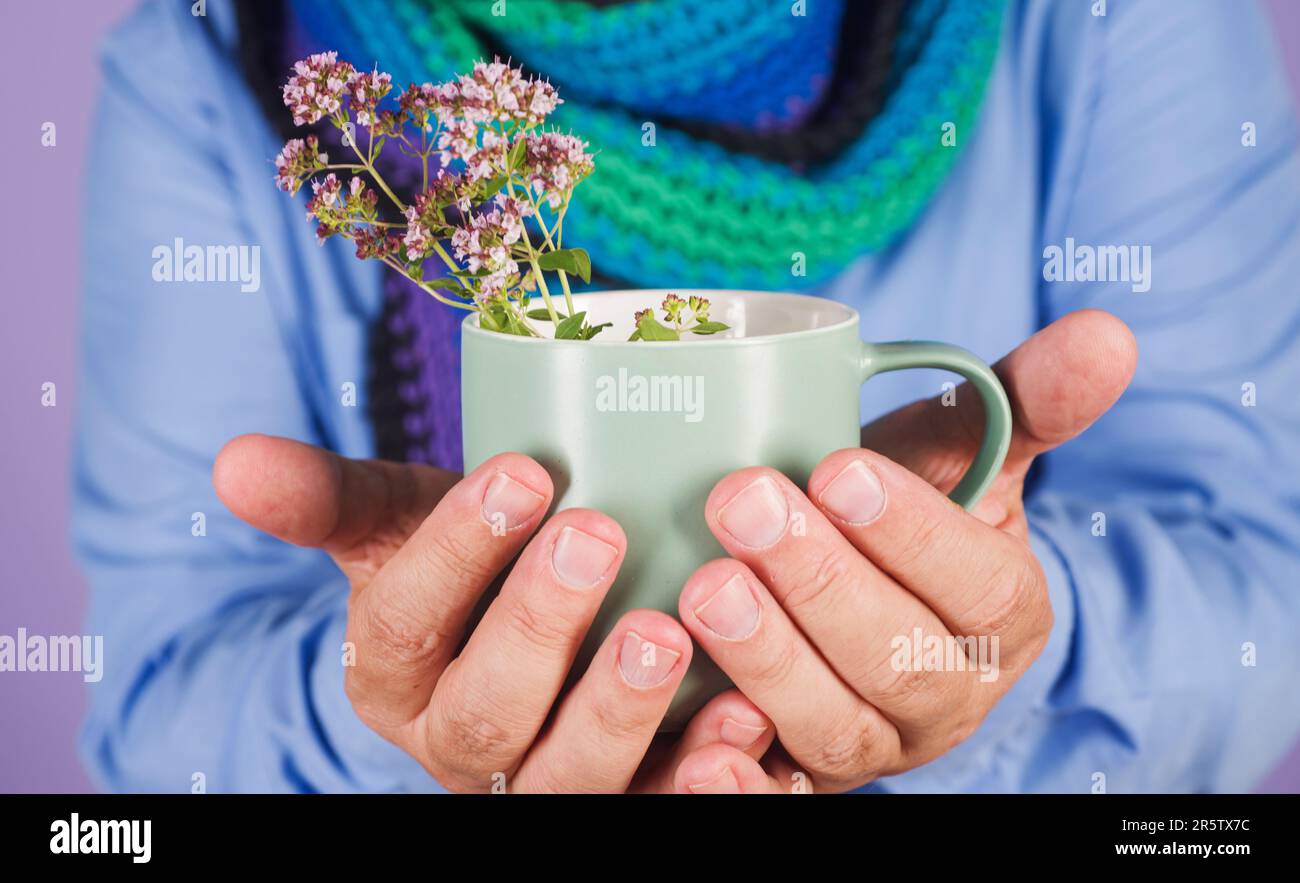 Homme avec du thé de médecine. Mug avec tisane dans la main de l'homme. Tisane de marjoram sauvage origan herbe médicale dans la tasse. Thé santé. medi à base de plantes alternatives Banque D'Images