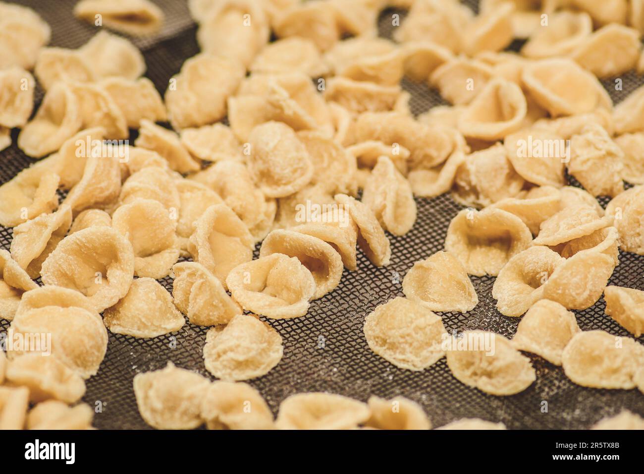 Orecchiette ou orecchietta fraîche, pâtes faites à la main avec du blé dur et de l'eau, typique de Puglia ou Apulia, une région du sud de l'Italie, gros plan Banque D'Images