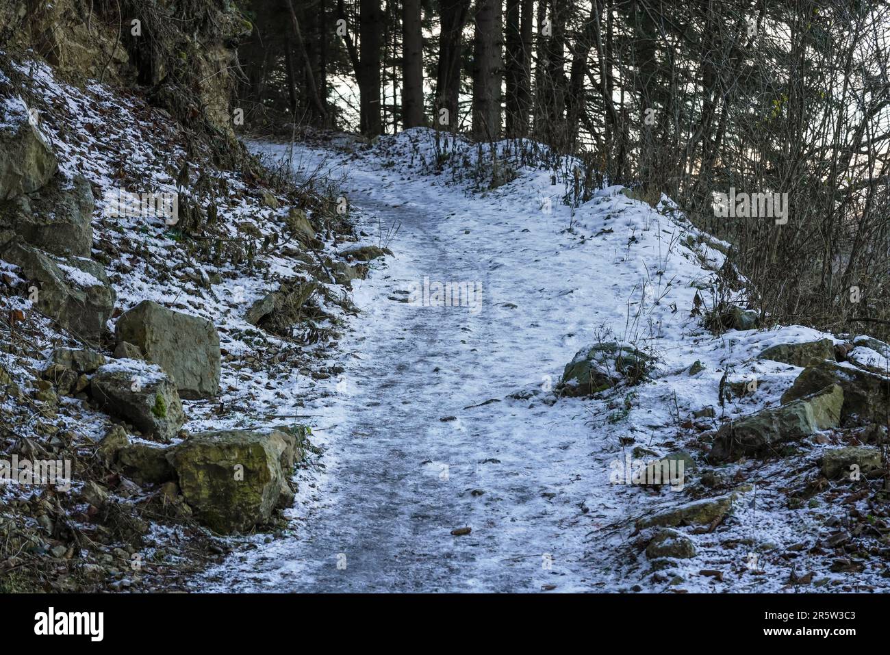 Sentier forestier en montée avec pierres sur les côtés, sol recouvert de neige Banque D'Images