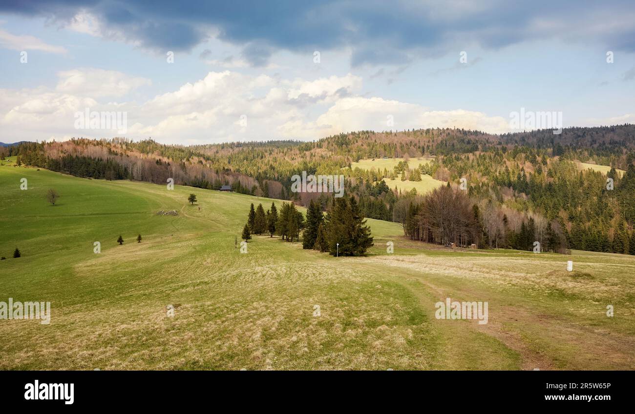 Vue panoramique sur le paysage des montagnes Pienin, Pologne. Banque D'Images