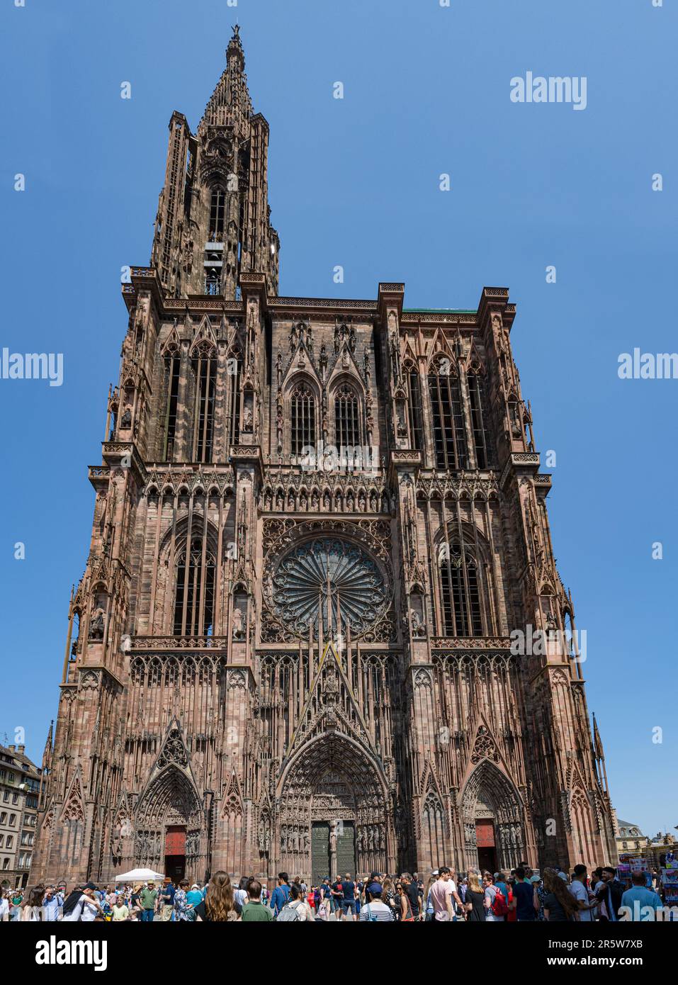 Vue sur la cathédrale historique de notre-Dame de Strasbourg, Alsace, France, Europe Banque D'Images