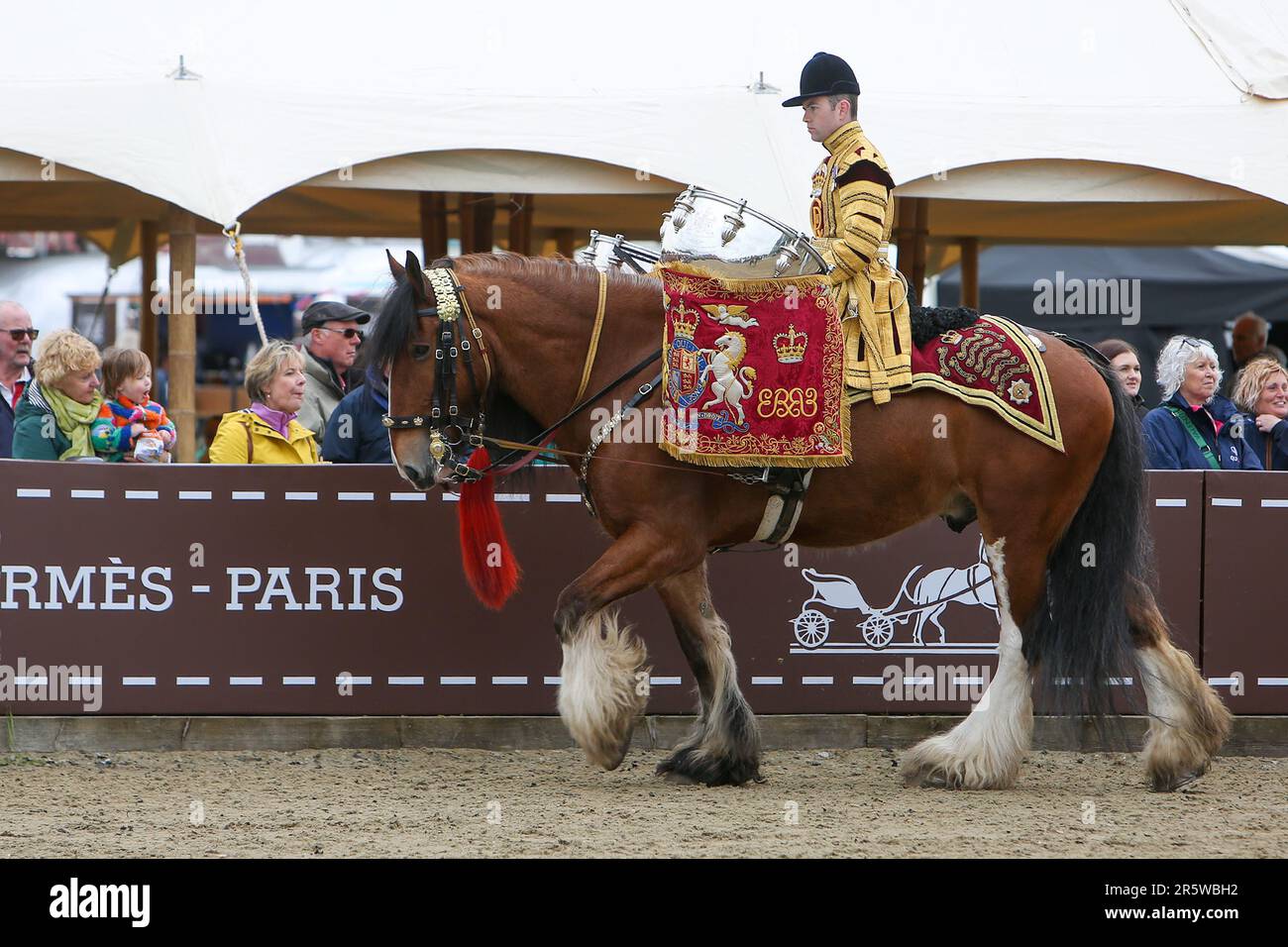 Le Drum Shire Horse Apollo au Royal Windsor Horse Show 2023, en compagnie de la Household Cavalry, Blues and Royals Banque D'Images