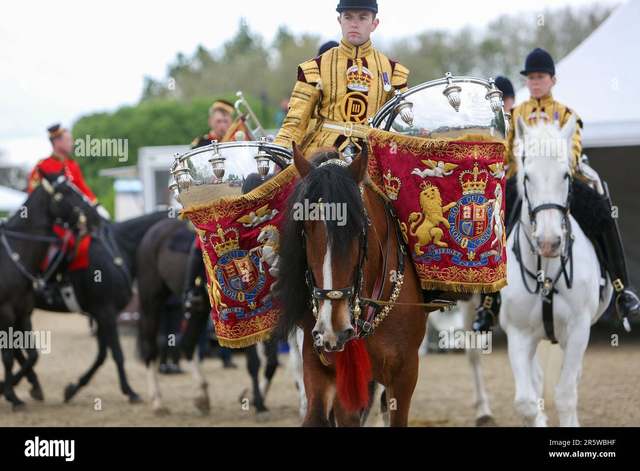 Le Drum Shire Horse Apollo au Royal Windsor Horse Show 2023, en compagnie de la Household Cavalry, Blues and Royals Banque D'Images