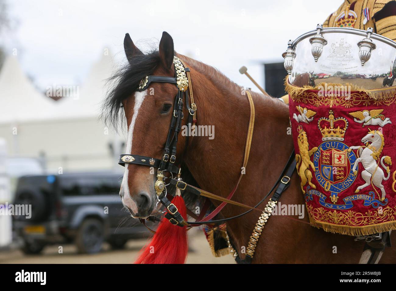 Le Drum Shire Horse Apollo au Royal Windsor Horse Show 2023, en compagnie de la Household Cavalry, Blues and Royals Banque D'Images