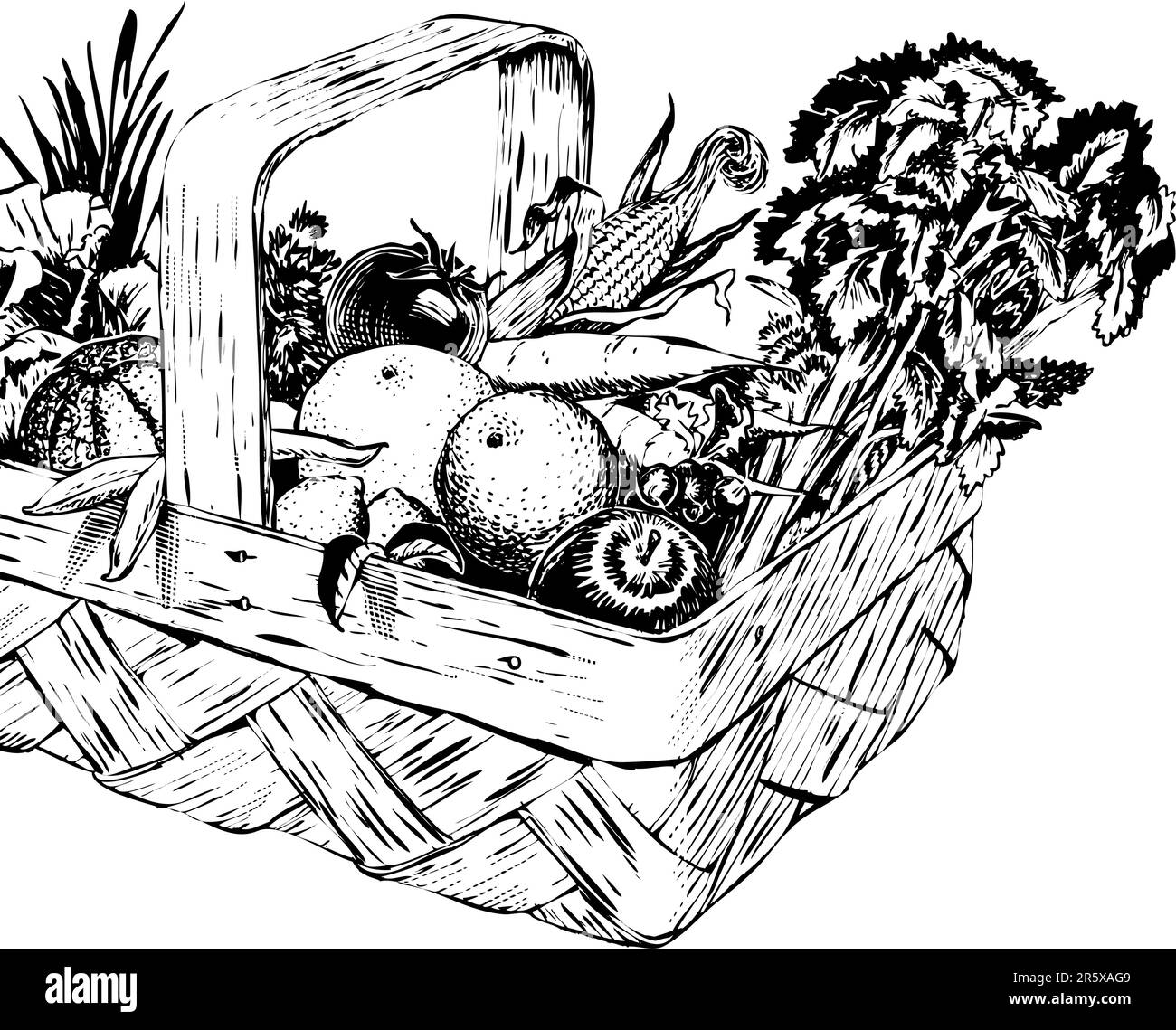 Récolte de fruits et légumes de style gravé 1950s dans un panier Illustration de Vecteur