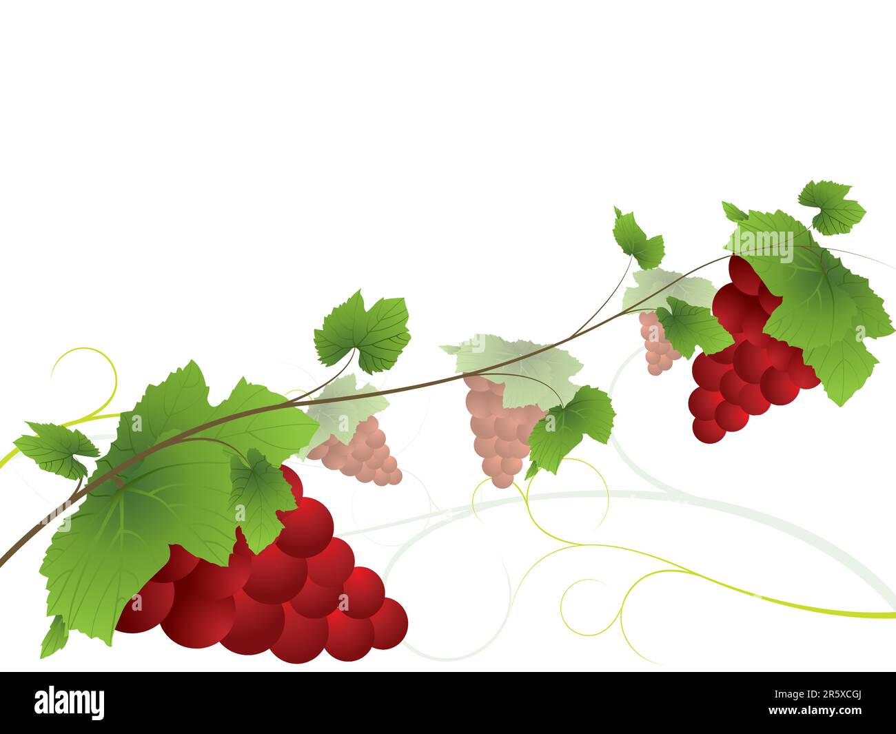 Fait partie de ma collection de vins. Veuillez consulter mon portefeuille pour en savoir plus dans la série. Illustration de Vecteur Fait partie de ma collection de vins. Veuillez consulter mon portefeuille pour en savoir plus dans la série. Illustration de Vecteur