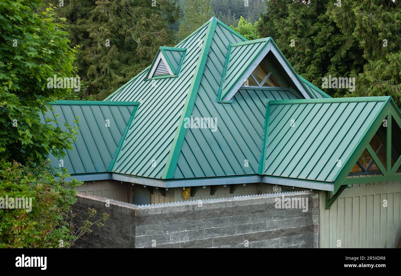 Beau toit vert avec dormeur. Toit métallique décoratif. Types de toitures de toit.le toit de la maison à partir d'un profil métallique. Toiture. Revêtement en acier inoxydable Banque D'Images