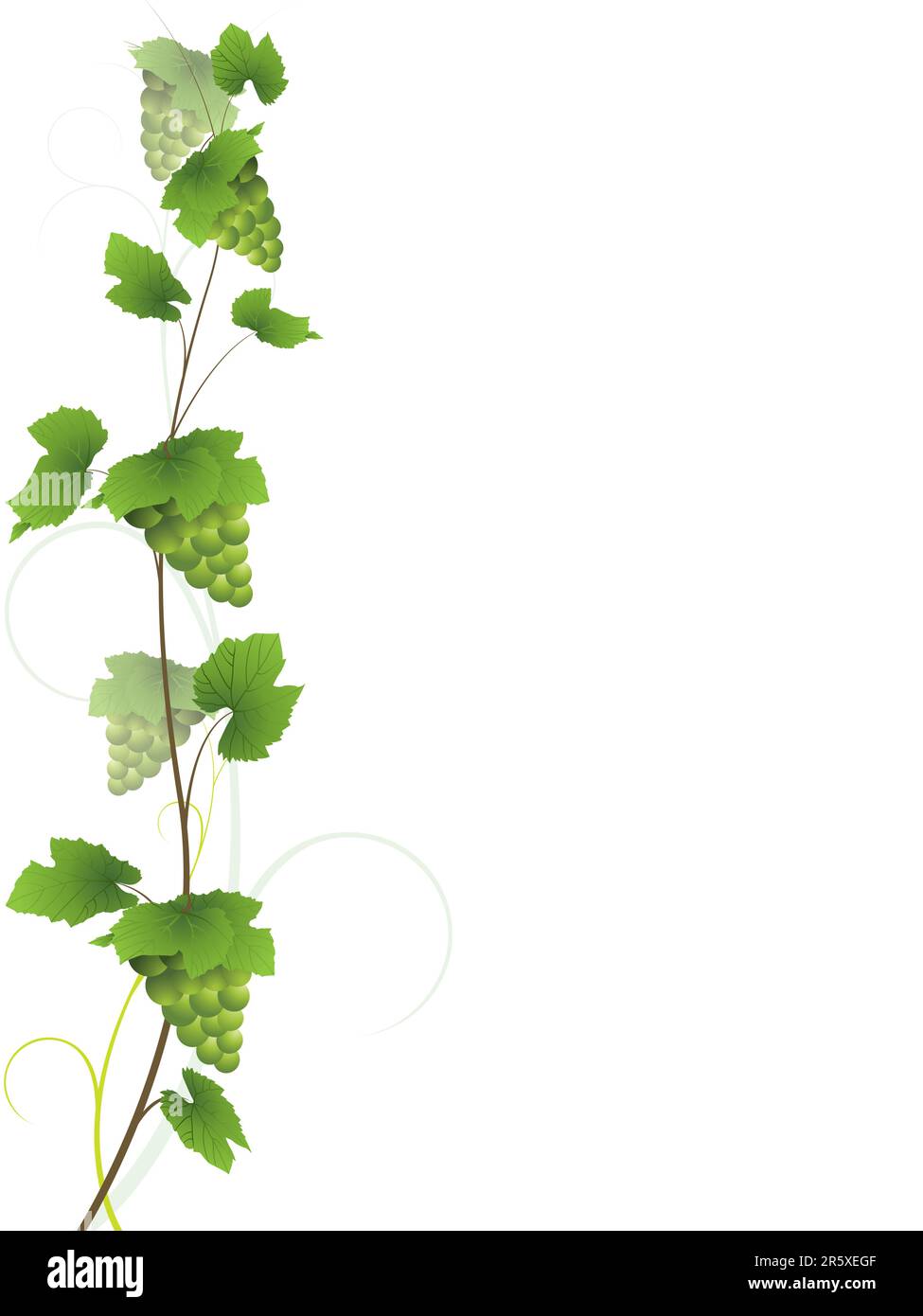 Fait partie de ma collection de vins. Veuillez consulter mon portefeuille pour en savoir plus dans la série. Illustration de Vecteur Fait partie de ma collection de vins. Veuillez consulter mon portefeuille pour en savoir plus dans la série. Illustration de Vecteur