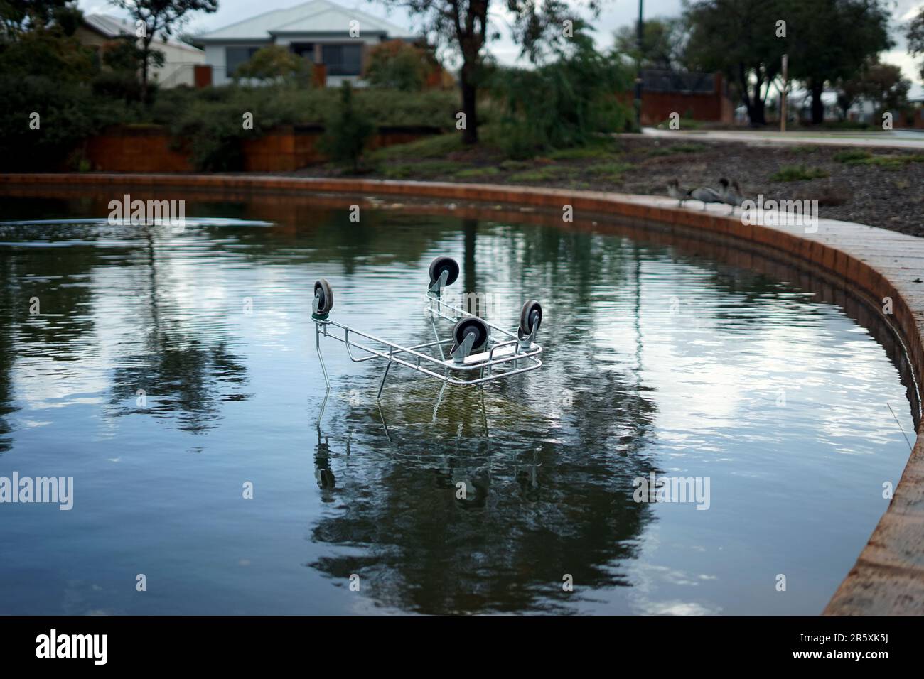 Un trolley de shopping sous-évalué dans un lac d'Ellenbrook près de Perth, en Australie occidentale. Banque D'Images