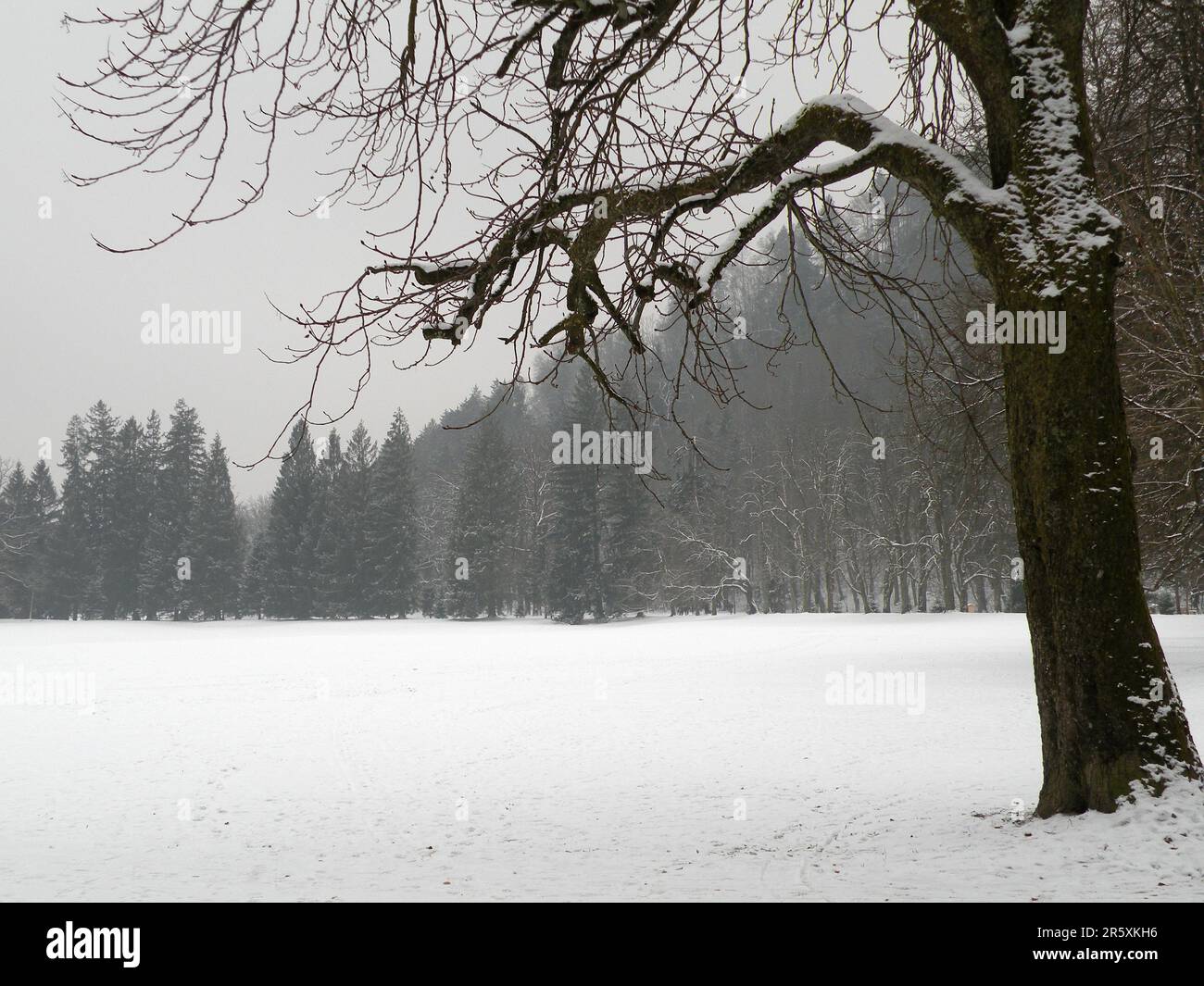 Schloss Hellbrunn, Salzbourg, Autriche, Europe Banque D'Images