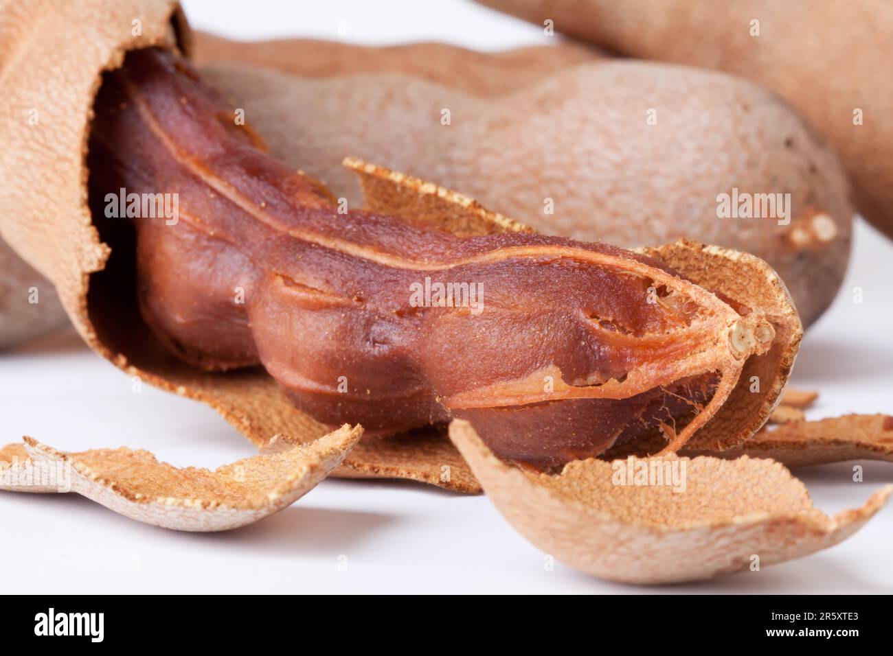 Tamarind isolé sur fond blanc Banque D'Images