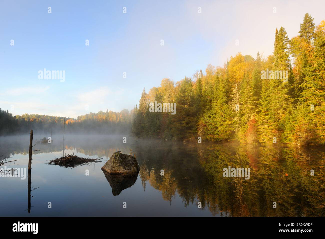 Lac Bouchard, Parc national de la Mauricie, Québec, Canada Banque D'Images