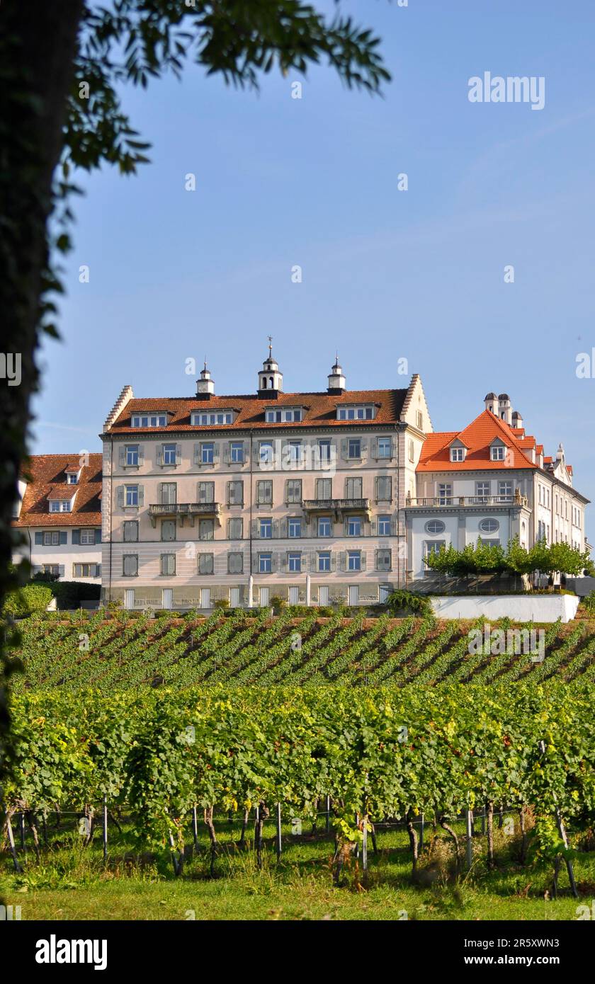 Sur le lac de Constance, château : Kirchberg près d'Immenstaad, vignoble Banque D'Images