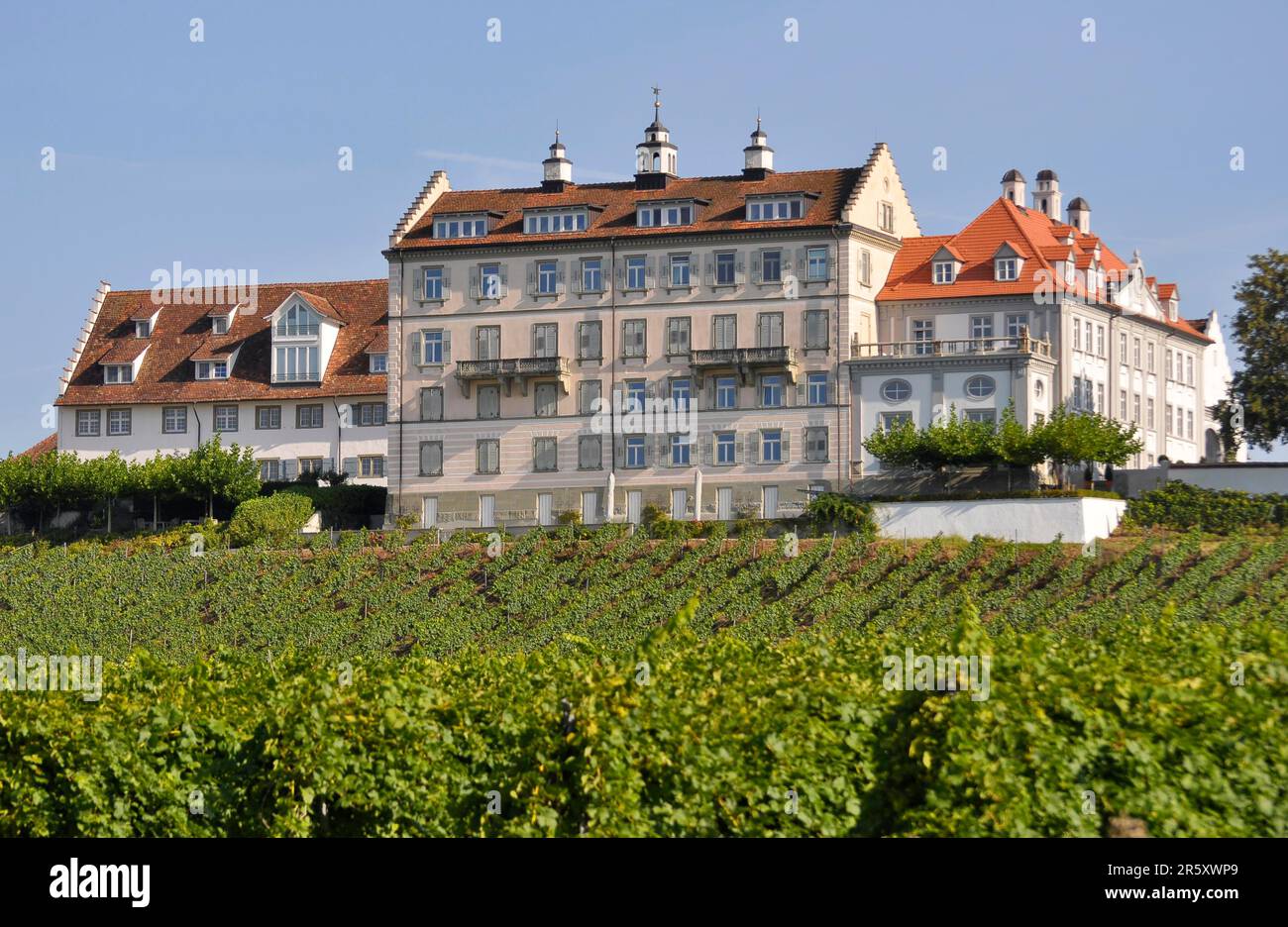 Sur le lac de Constance, château : Kirchberg près d'Immenstaad, vignoble Banque D'Images