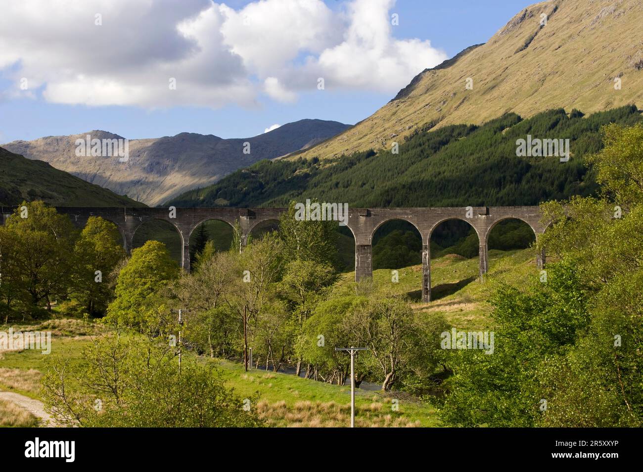 Pont ferroviaire, Glenfinnan, Écosse, viaduc Banque D'Images